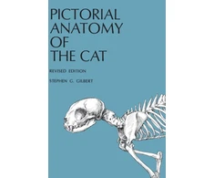 KNYGA Stephen G Gilbert Pictorial Anatomy of the Cat