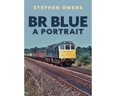 KNYGA Stephen Owens BR Mėlyna: A Portrait