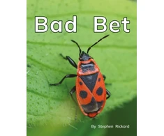 KNYGA Stephen Rickard Bad Bet