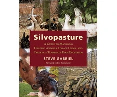 KNYGA Steve Gabriel Silvopasture