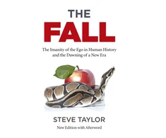 KNYGA Steve Taylor Fall, The (new edition with Afterword)