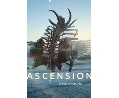 KNYGA Steve Tomasula Ascension