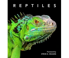 KNYGA Steve Wilson Reptiles