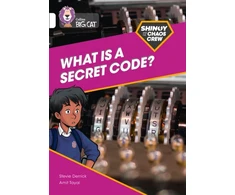 KNYGA Stevie Derrick Shinoy and the Chaos Crew: What is a secret code?