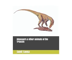 KNYGA Sunil Tanna Dinosaurs &amp; Other Animals of the Triassic