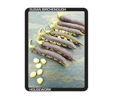 KNYGA Susan Birchenough Housework