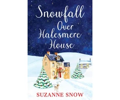 KNYGA Suzanne Snow Snowfall Over Halesmere House