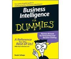 KNYGA Swain Scheps Business Intelligence For Dummies