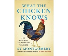 KNYGA Sy Montgomery What the Chicken Knows