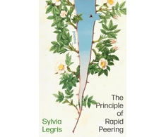 KNYGA Sylvia Legris Principle of Rapid Peering