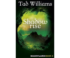 KNYGA Tad Williams Shadowrise