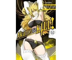 KNYGA Takahiro Akame ga KILL!, Vol. 12