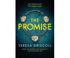 KNYGA Teresa Driscoll Pažadas