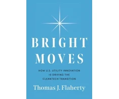 KNYGA Thomas Flaherty Bright Moves