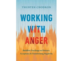 KNYGA Thubten Chodron Working with Anger