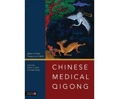 KNYGA Tianjun Liu Chinese Medical Qigong
