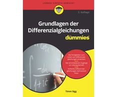 KNYGA Timm Sigg Grundlagen der Differenzialgleichungen fur Dummies
