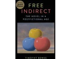 KNYGA Timothy Bewes Free Indirect