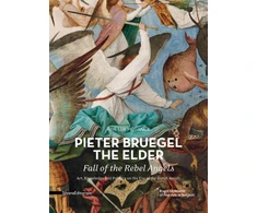 KNYGA Tine Meganck Pieter Bruegel the Elder