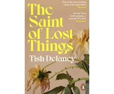 KNYGA Tish Delaney Saint of Lost Things