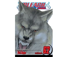 KNYGA Tite Kubo Bleach, Vol. 62