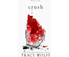 KNYGA Tracy Wolff Sutraiškyti