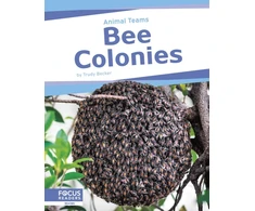 KNYGA Trudy Becker Bee Colonies