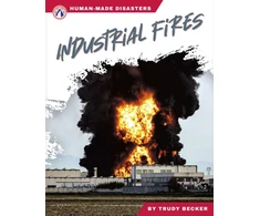 KNYGA Trudy Becker Industrial Fires