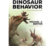 KNYGA Tsubame Otori Dinosaur Behavior