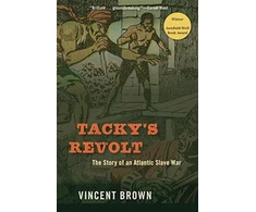 KNYGA Vincent Brown Tacky’s Revolt