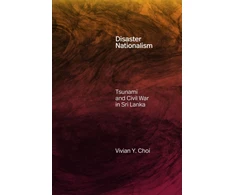 KNYGA Vivian Y Choi Disaster Nationalism