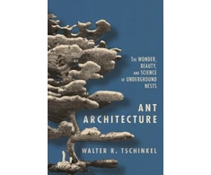 KNYGA Walter R Tschinkel Ant Architecture