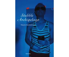 KNYGA Wayne Koestenbaum Stubble Archipelago