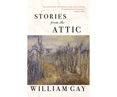 KNYGA William Gay Stories from the Attic
