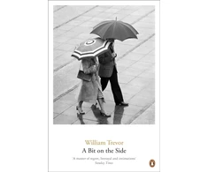 KNYGA William Trevor Bit on the Side
