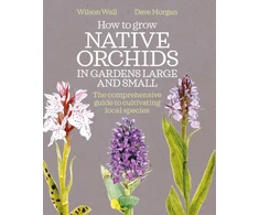 KNYGA Wilson Wall How to Grow Native Orchids in Gardens Large and Small, The comprehensive guide to cultivating local species