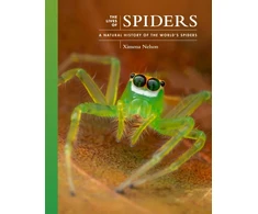 KNYGA Ximena Nelson Lives of Spiders, A Natural History of the World's Spiders
