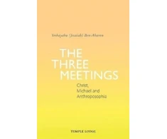 KNYGA Yeshayahu Ben Aharon Three Meetings