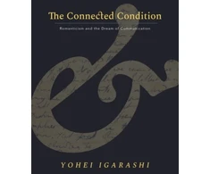 KNYGA Yohei Igarashi Connected Condition