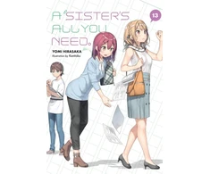 KNYGA Yomi Hirasaka Sister's All You Need., Vol. 13 (light novel)