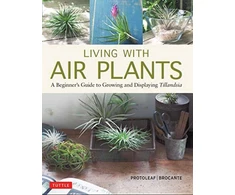KNYGA Yoshiharu Kashima Protoleaf Living with Air Plants