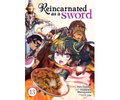 KNYGA Yuu Tanaka Reincarnated as a Sword (Manga) Vol. 13