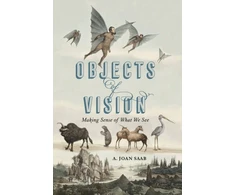 KNYGA A Joan Saab Objects of Vision