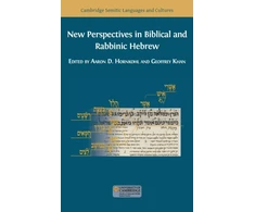 KNYGA Aaron D Hornkohl New Perspectives in Biblical and Rabbinic Hebrew