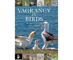 KNYGA Alexander Lees Vagrancy in Birds