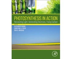 KNYGA Alexander Ruban Photosynthesis in Action