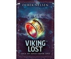 KNYGA Amanda Ashby Viking Lost