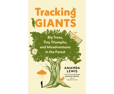 KNYGA Amanda Lewis Tracking Giants