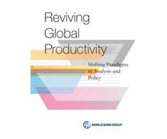 KNYGA Ana Paula Cusolito and William F. Maloney Productivity Revisited