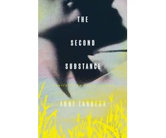 KNYGA Anne Lardeux Second Substance